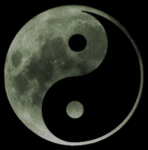 Risultati immagini per tao immagini